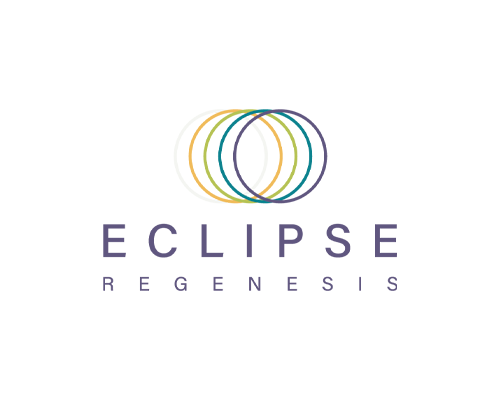 Jib-Accessibility-and-Compliance-Portfolio-Eclipse-Regenesis