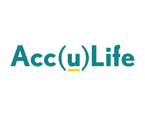 Jib-Accessibility-and-Compliance-Portfolio-Your-Acculife